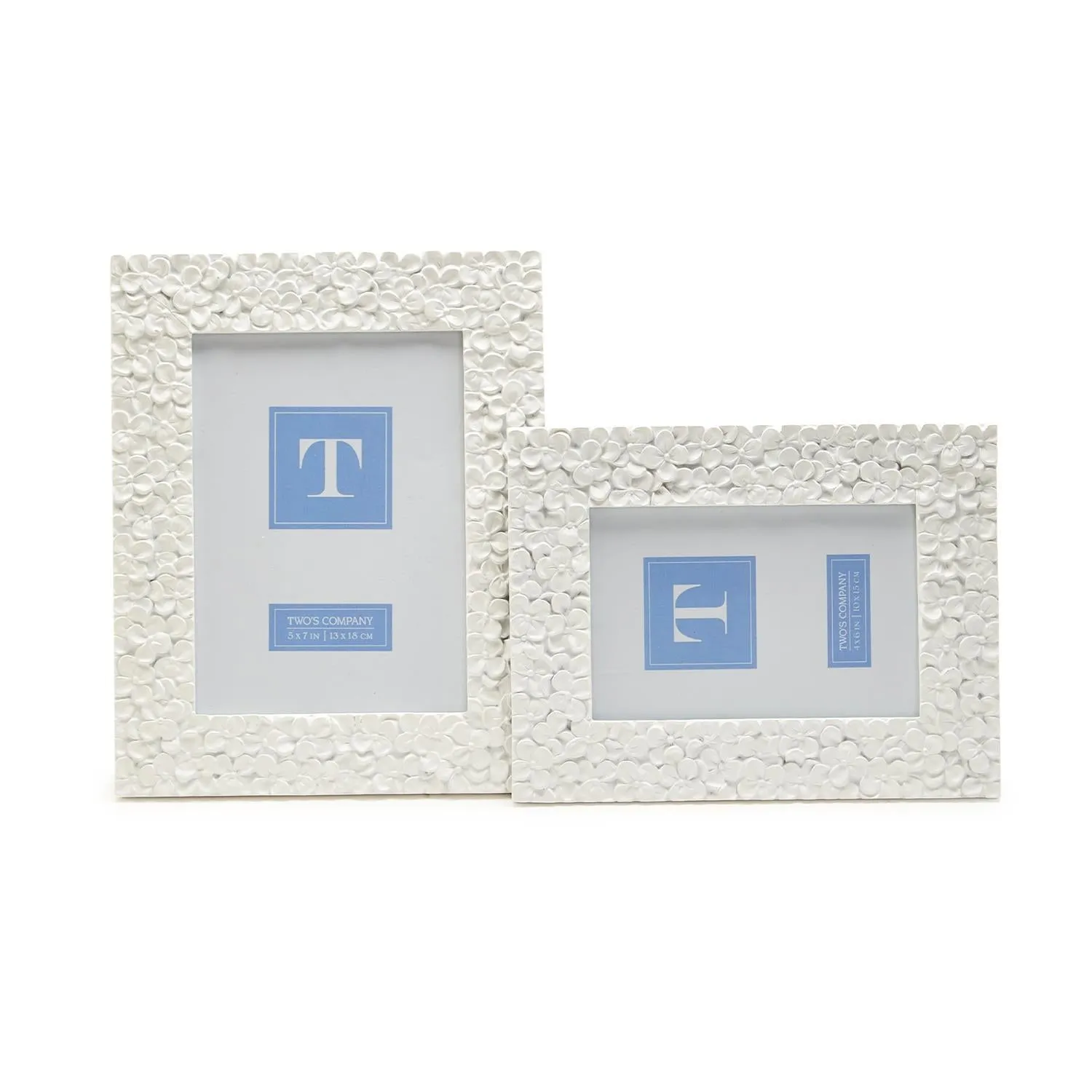 4x6 or 5x7 Frame - Hydrangea Flower