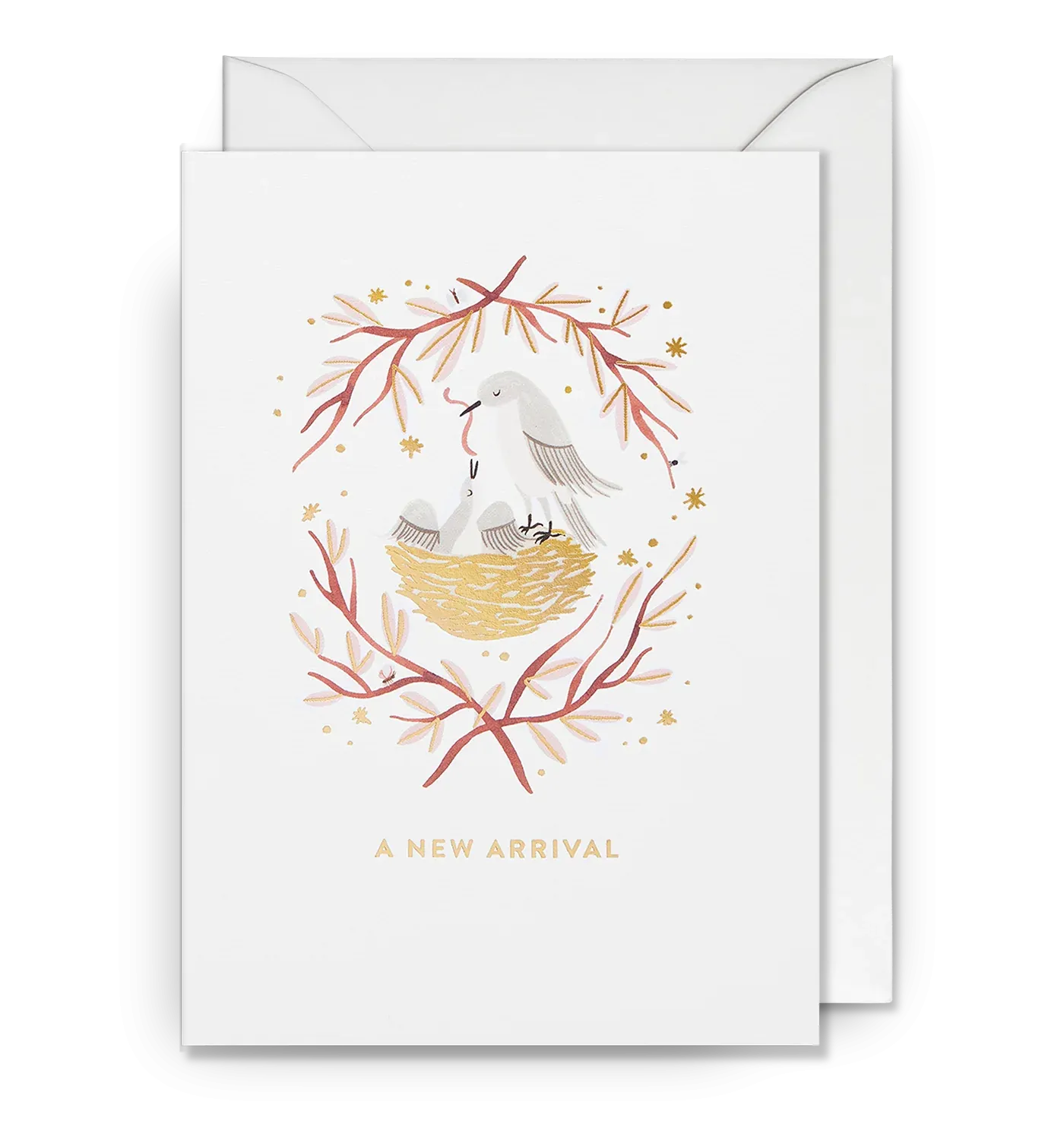A New Arrival Baby Bird