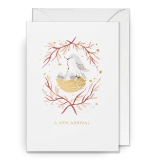 A New Arrival Baby Bird