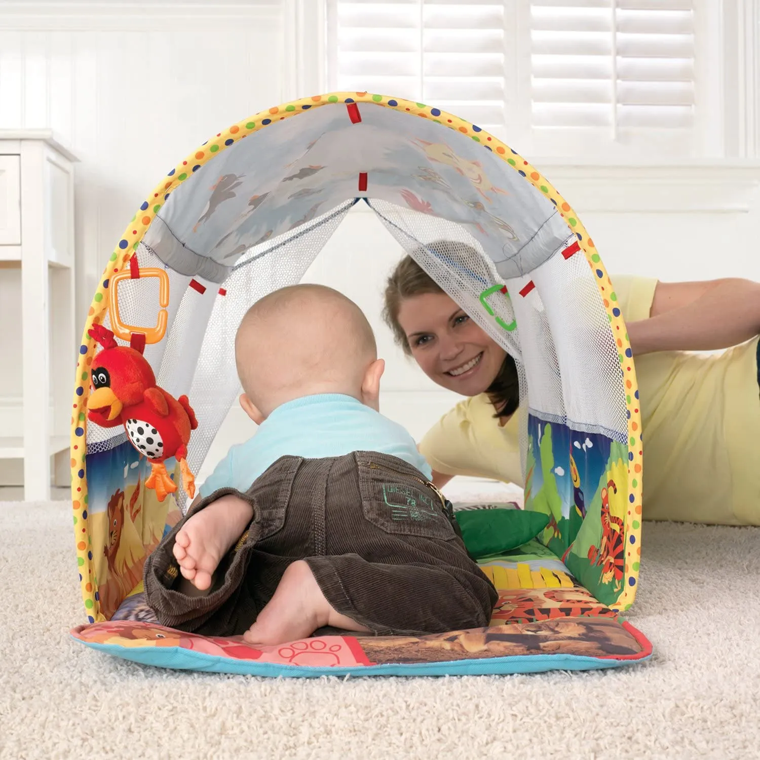 Baby Einstein Animal Exploration Tunnel