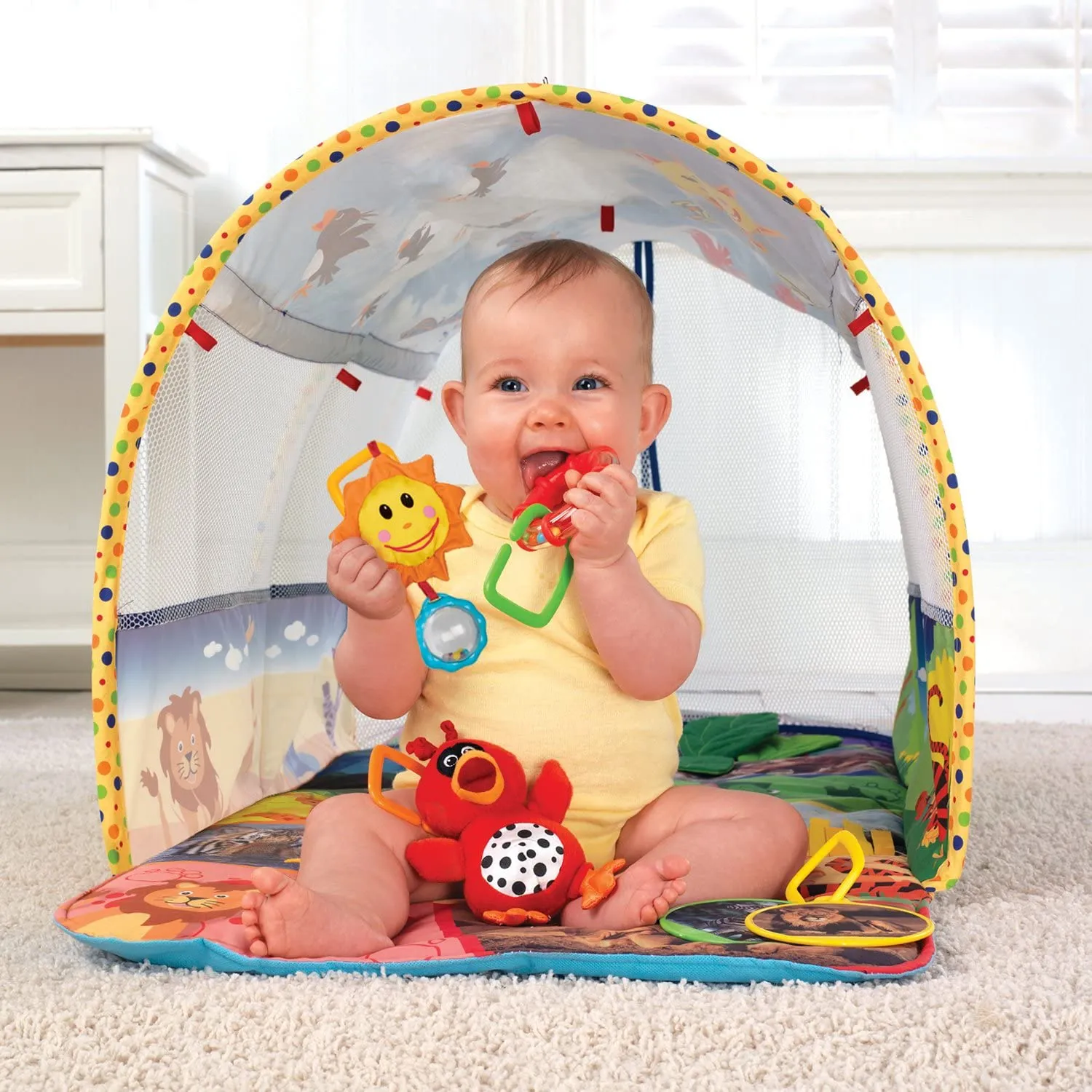 Baby Einstein Animal Exploration Tunnel