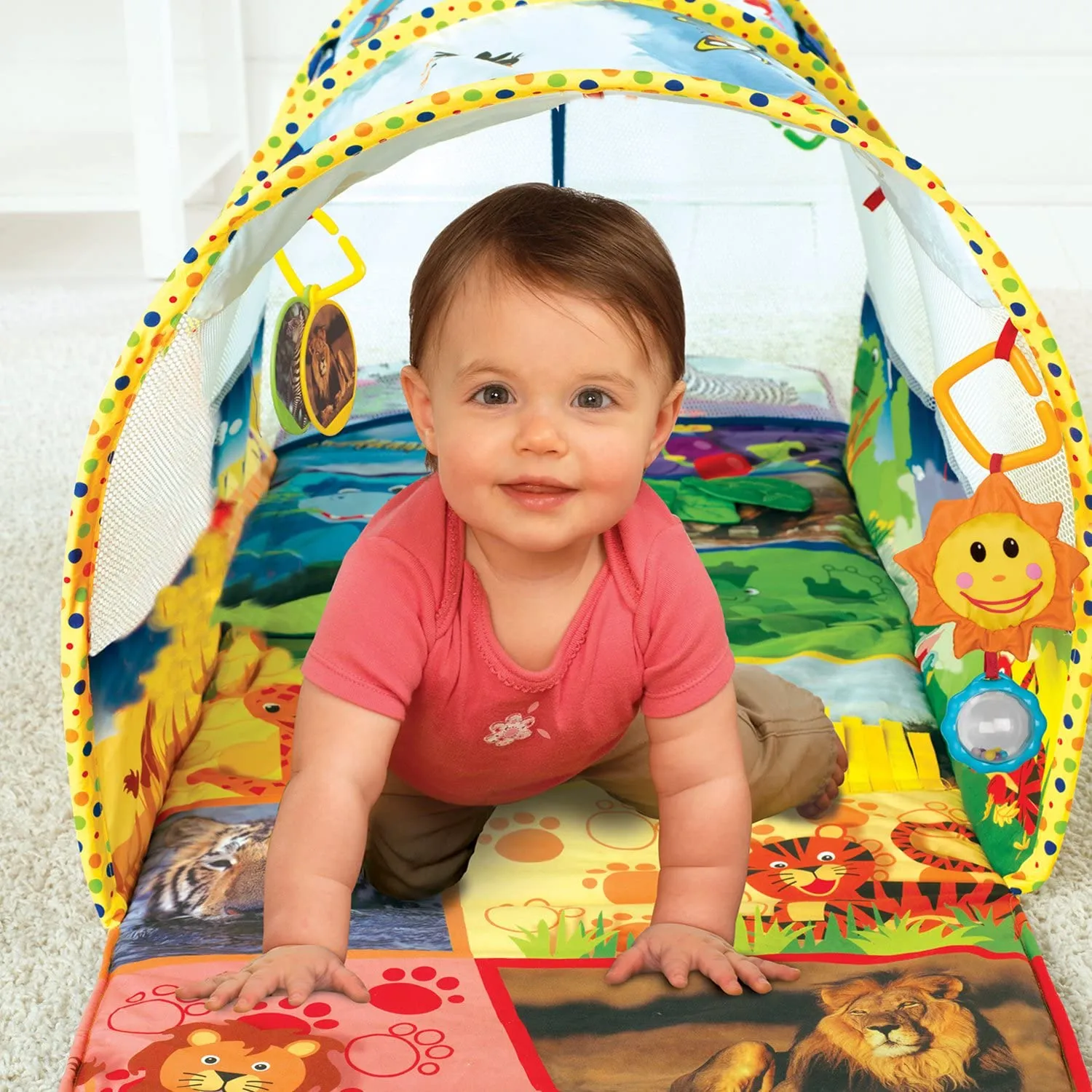 Baby Einstein Animal Exploration Tunnel