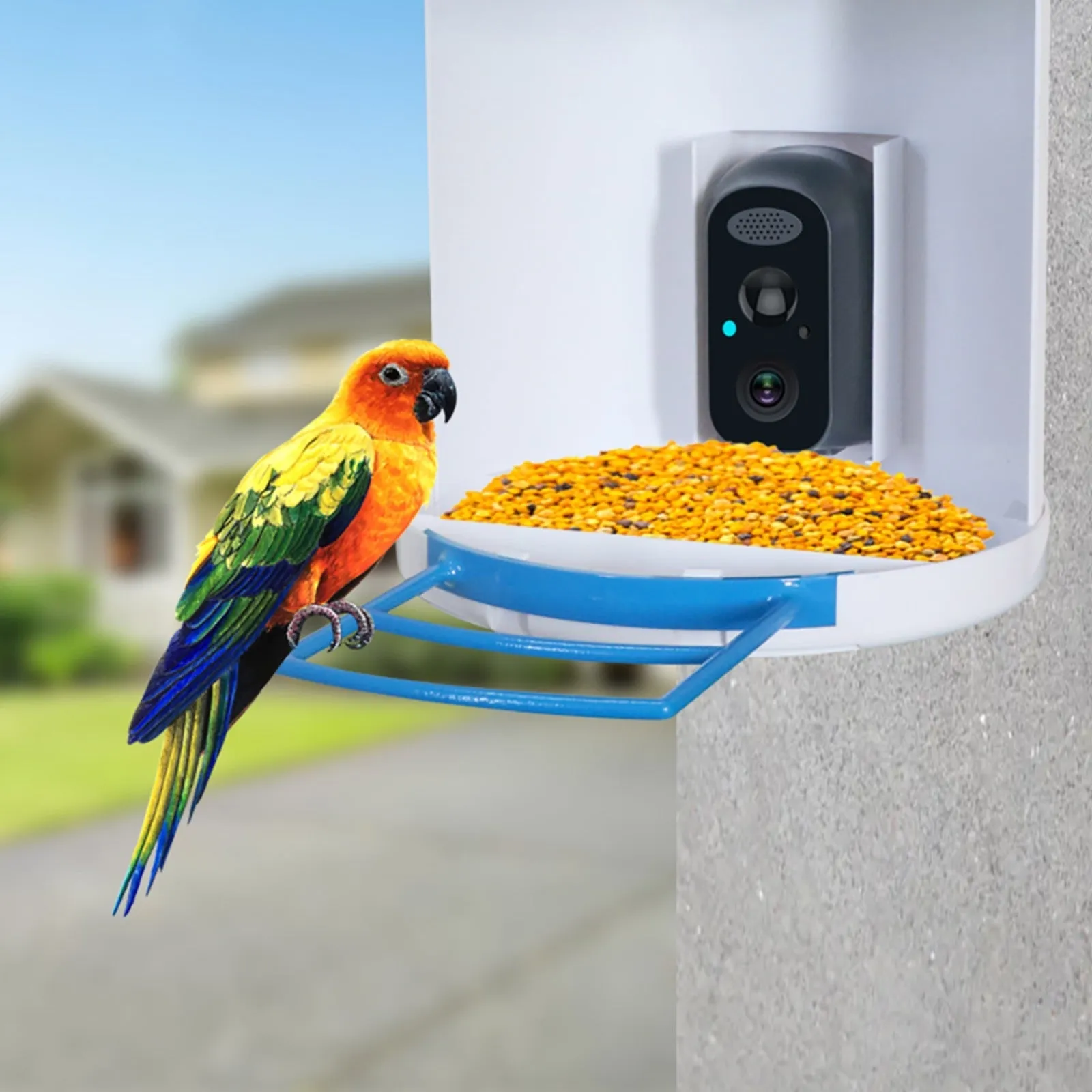 Bird Feeder Camera 4G LTE Sim Card 1080p HD Battery / Solar Power No Wiring Needed