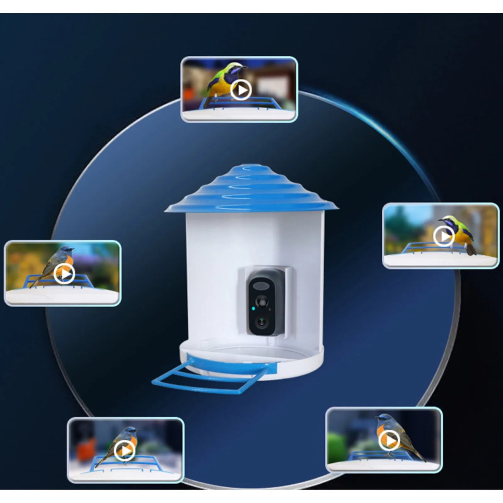 Bird Feeder Camera 4G LTE Sim Card 1080p HD Battery / Solar Power No Wiring Needed