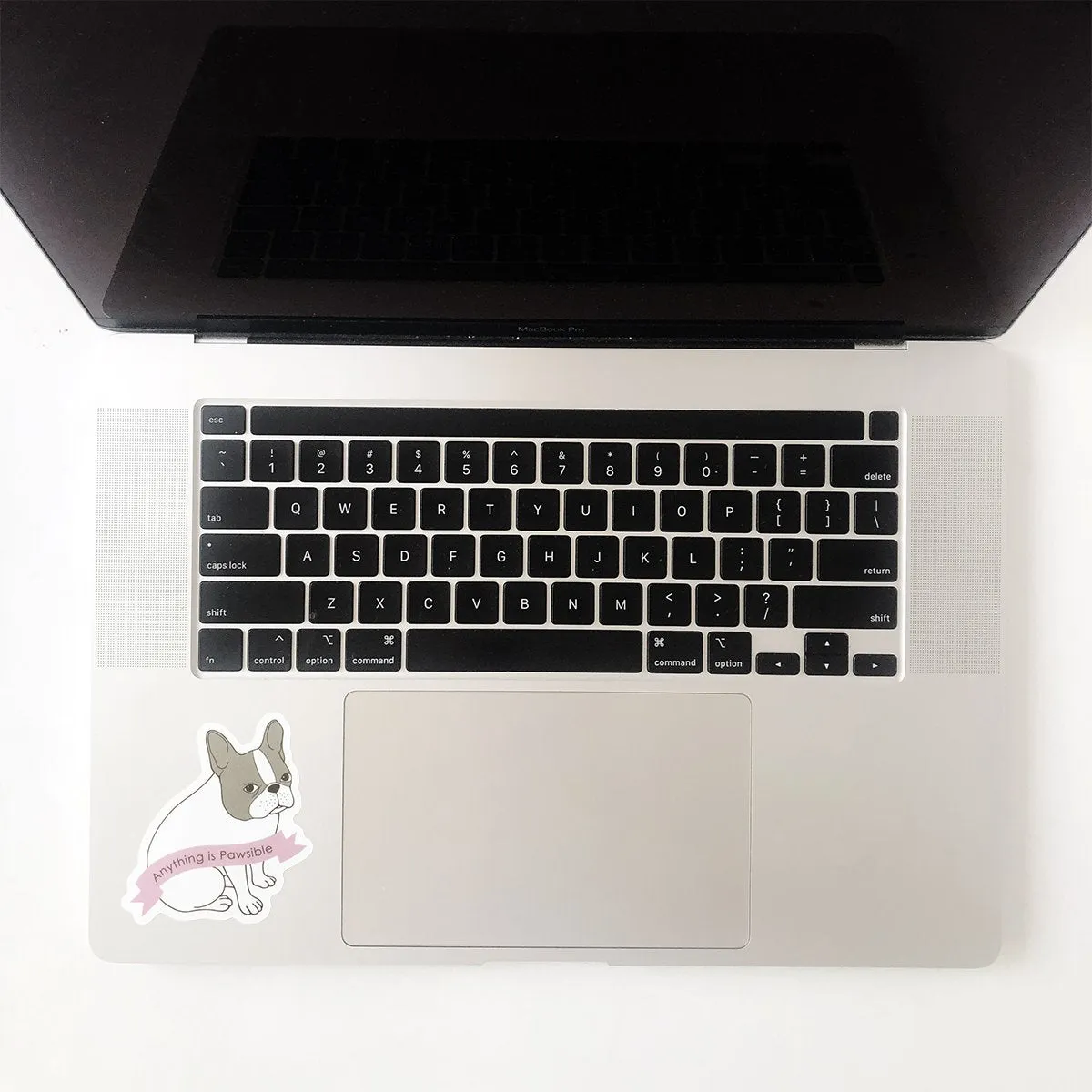 Blue Frenchie Pawsible Waterproof Sticker