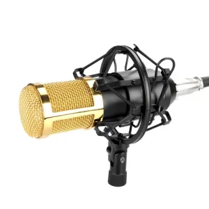 FIFINE F-800 Professional Condenser Sound Recording Microphone with Shock Mount for Studio Radio Broadcasting, 3.5mm Earphone Port, Cable Length: 2.5m(Black)   Lead Time: 2~5 Days.