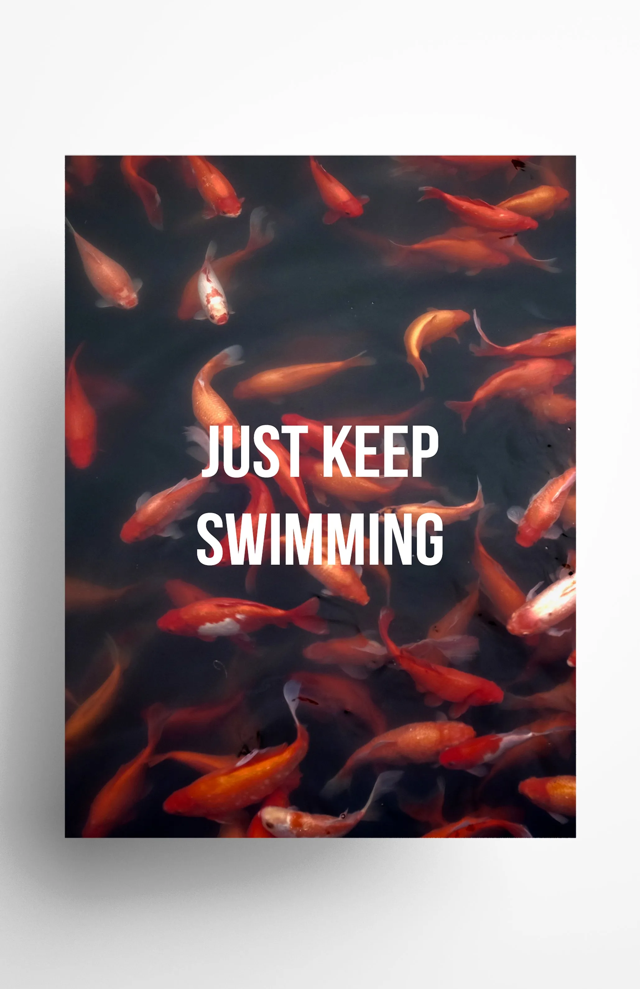 Just Keep Swimming