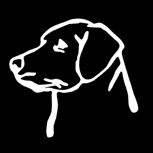Labrador decal