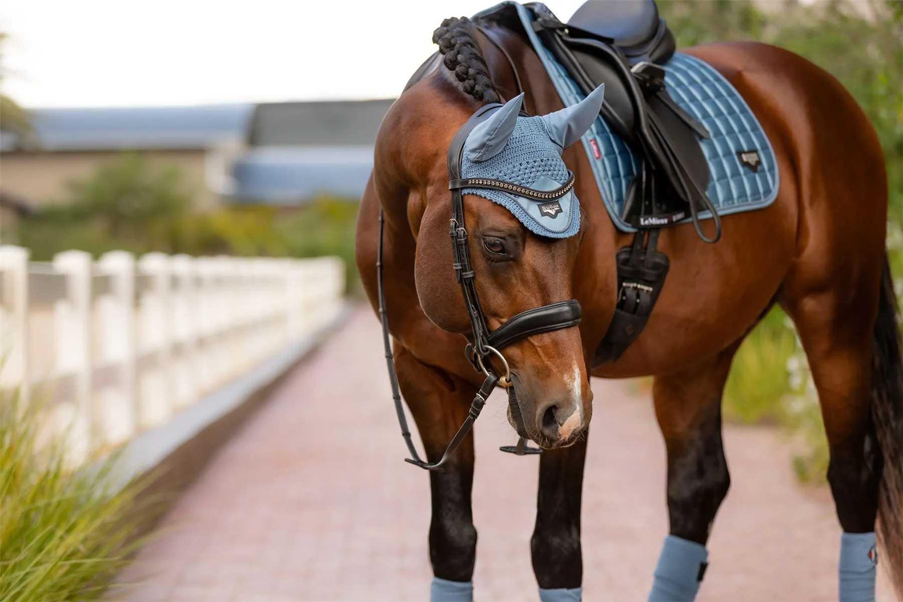 LeMieux Loire Fly Hood