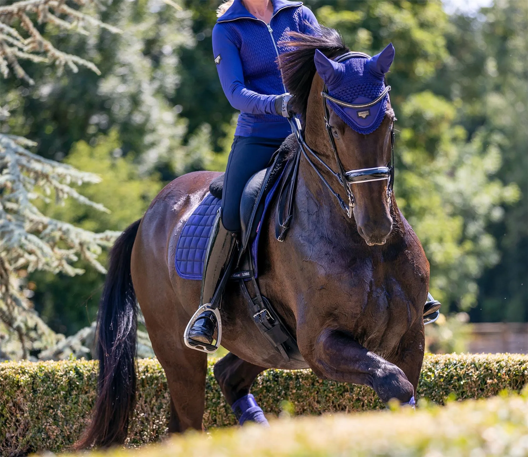 LeMieux Loire Fly Hood