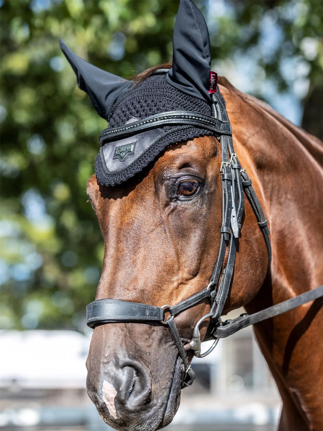 LeMieux Loire Fly Hood