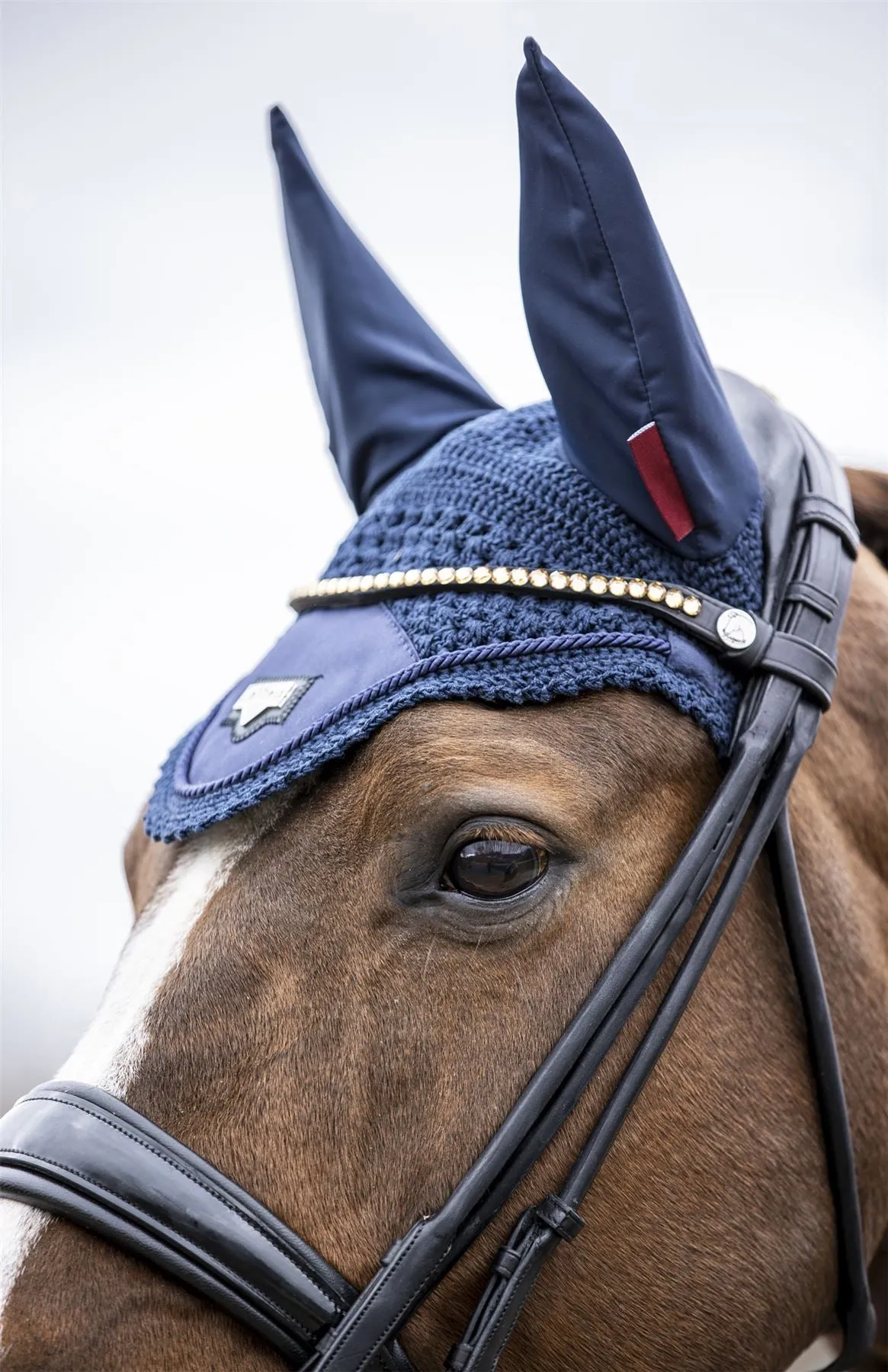 LeMieux Loire Fly Hood
