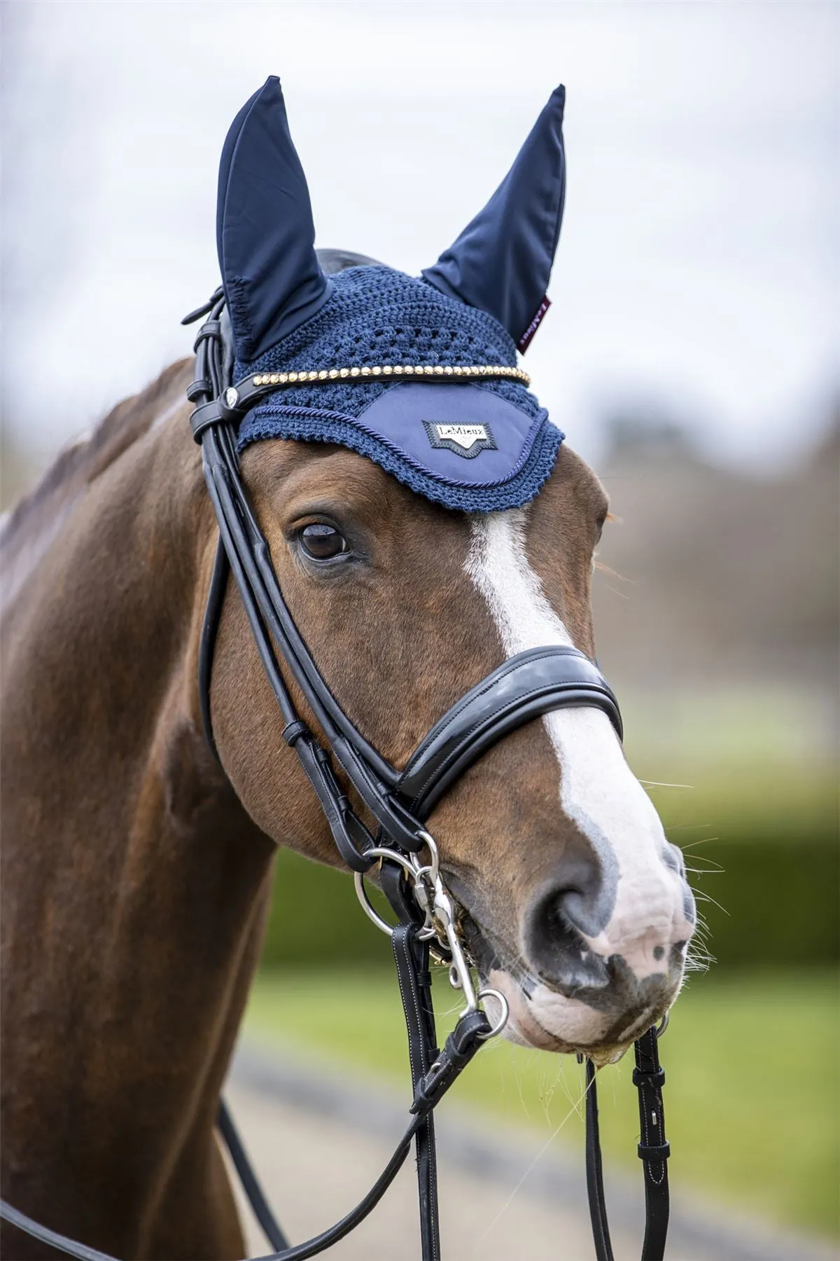 LeMieux Loire Fly Hood