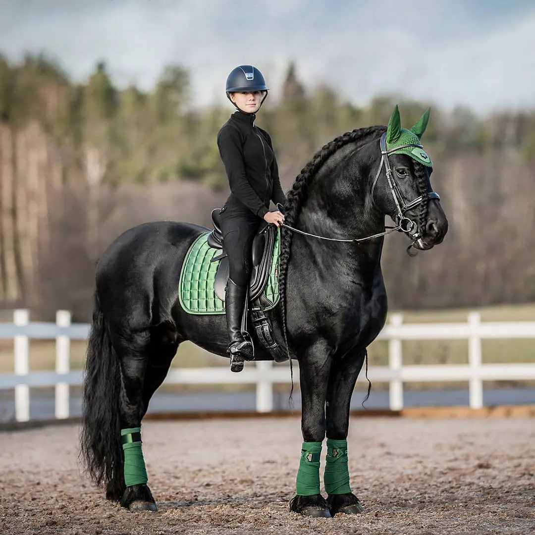 LeMieux Loire Fly Hood