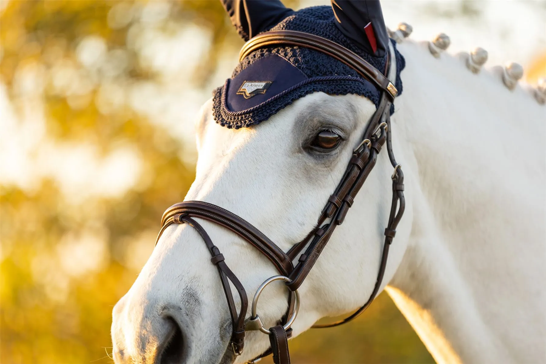 LeMieux Loire Fly Hood
