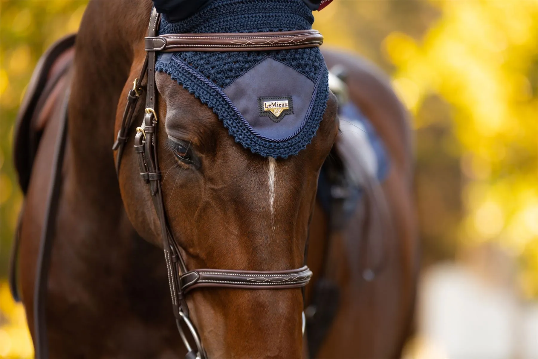 LeMieux Loire Fly Hood