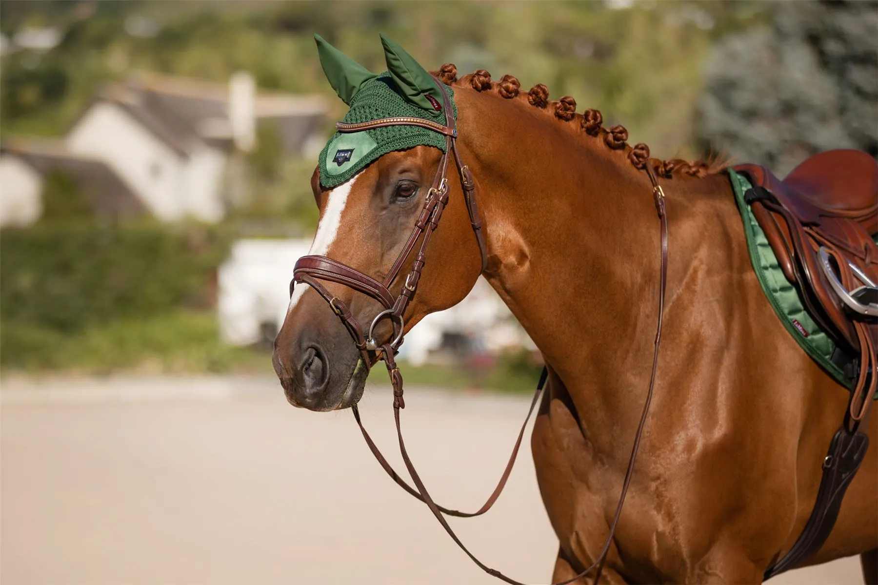 LeMieux Loire Fly Hood