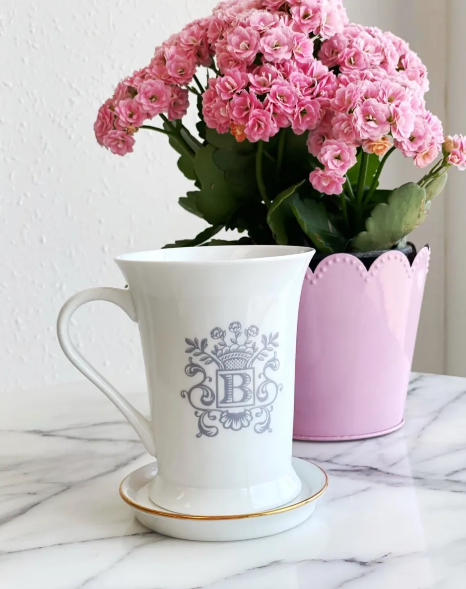 Porcelain Mugs