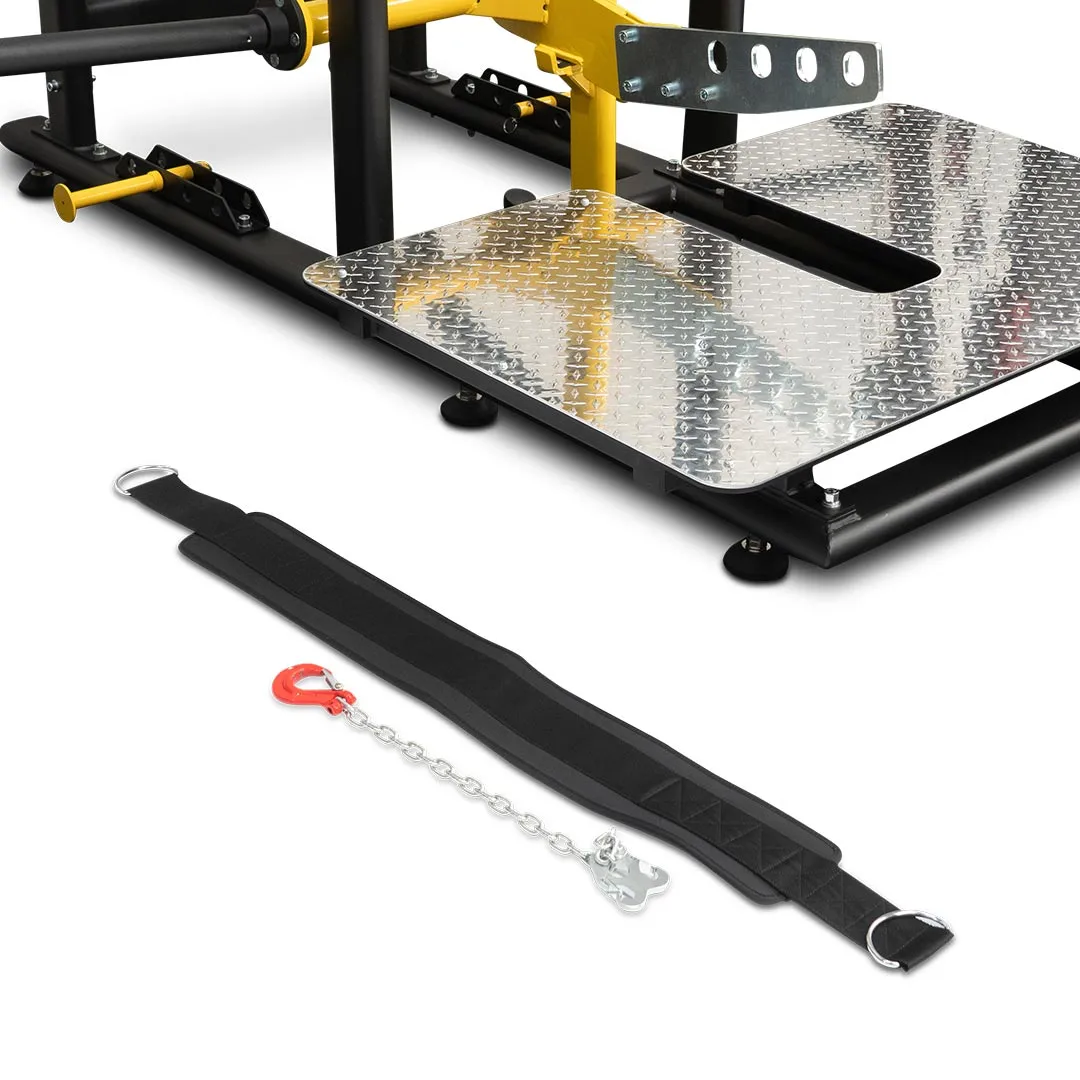 Reeplex Commercial Belt Squat Machine