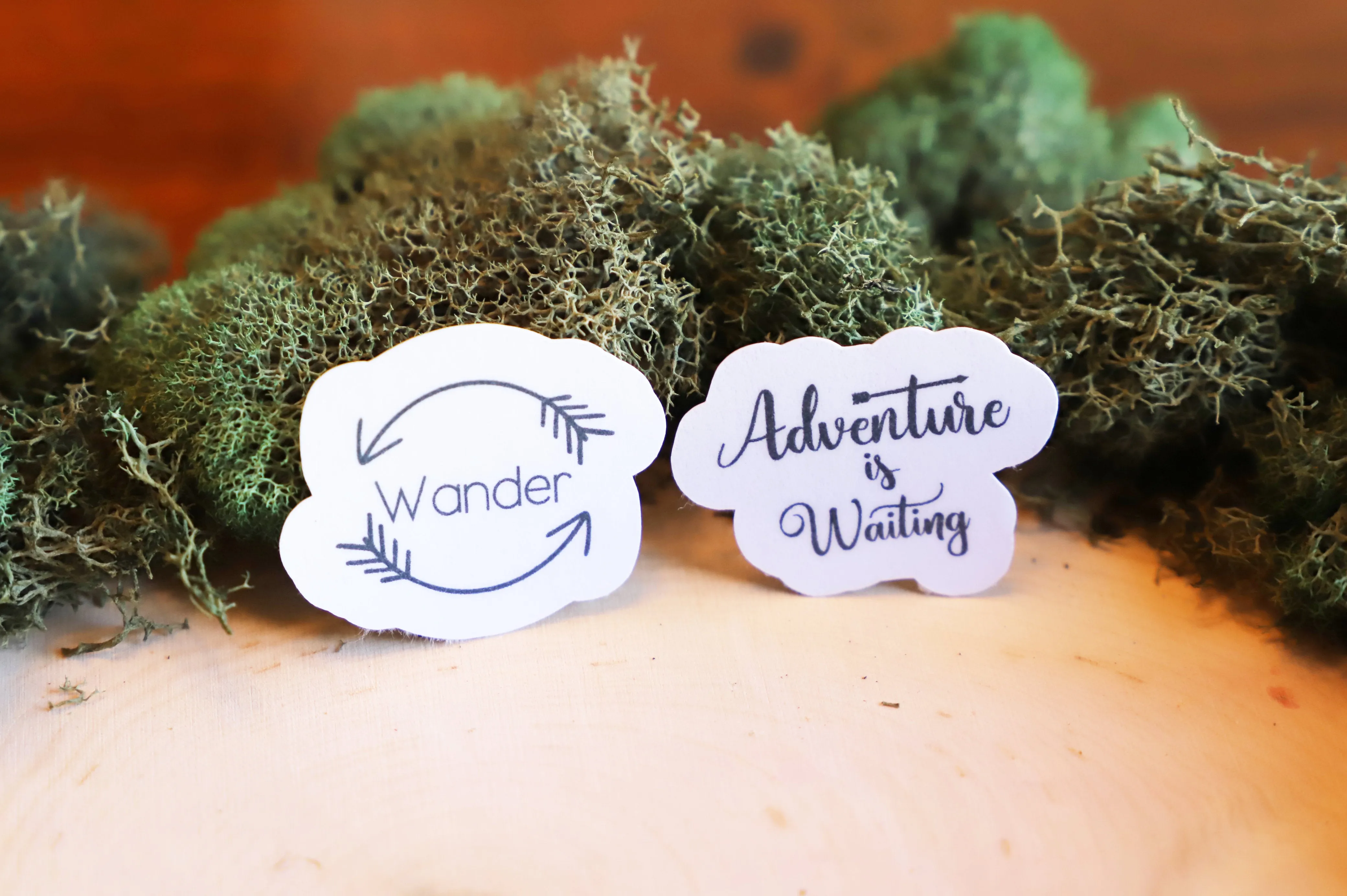 Wander sticker pack | 6pk