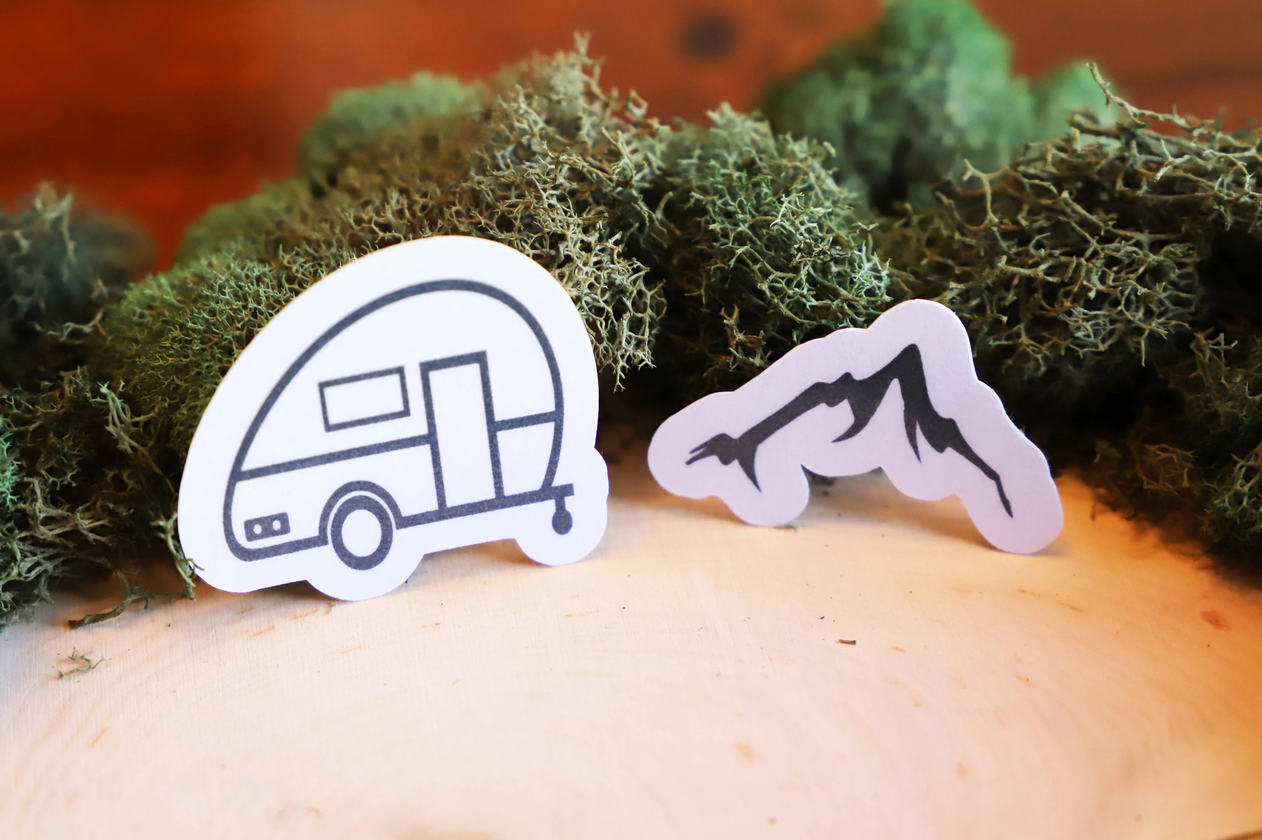 Wander sticker pack | 6pk